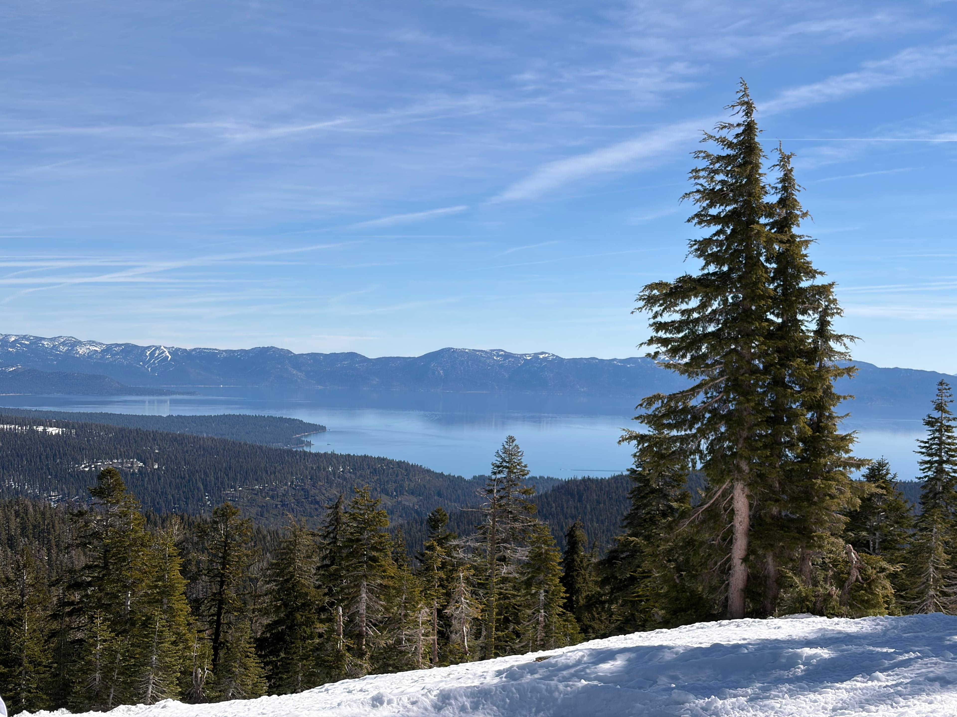 Alpine Lake Vista Through Snow-Dusted Pines